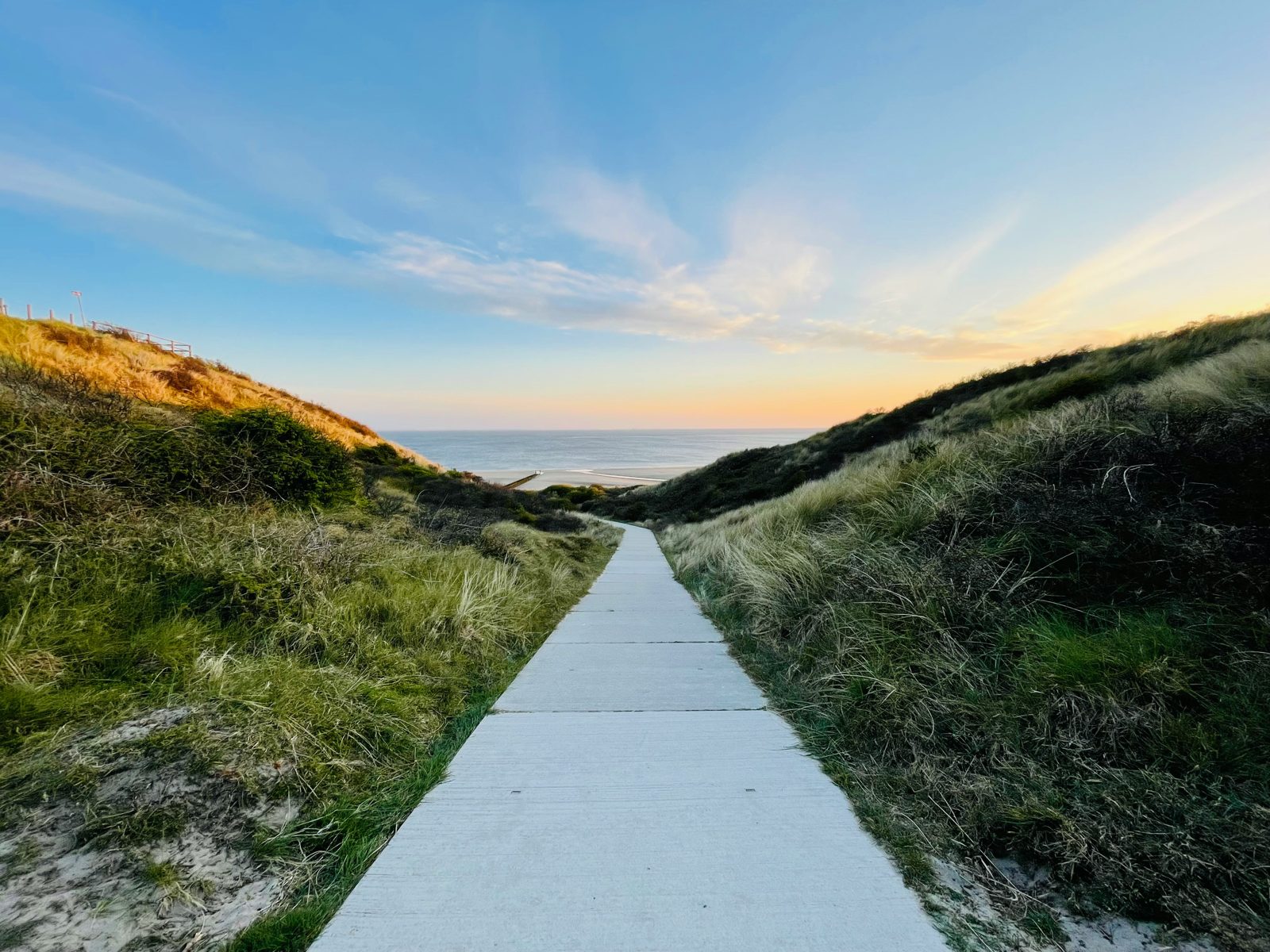 Ein Sandweg führt zwischen Bäumen und Dünen hindurch zum Meer